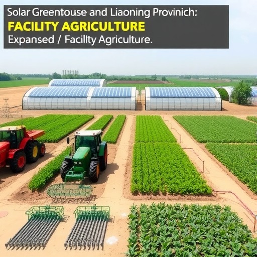 辽宁推进设施农业高质量发展 政策扶持促结构优化