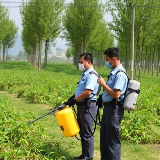 黄脊竹蝗大规模迁入云南 边境防治工作全面展开