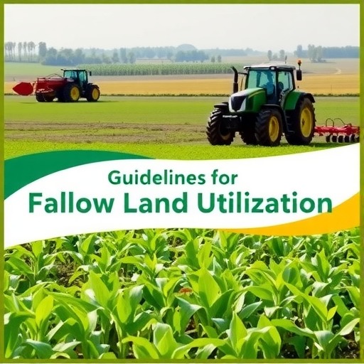 农业农村部：治理耕地撂荒 推动农业生产发展