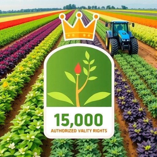 农业植物新品种权保护措施助推市场秩序优化