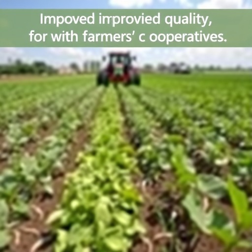 农民合作社质量提升与规范化发展助力乡村振兴