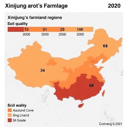新疆耕地质量等级调查公布 分区分析与提升措施