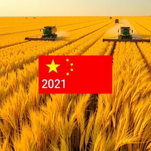 2021年中国粮食产量再创新高，黑龙江居首