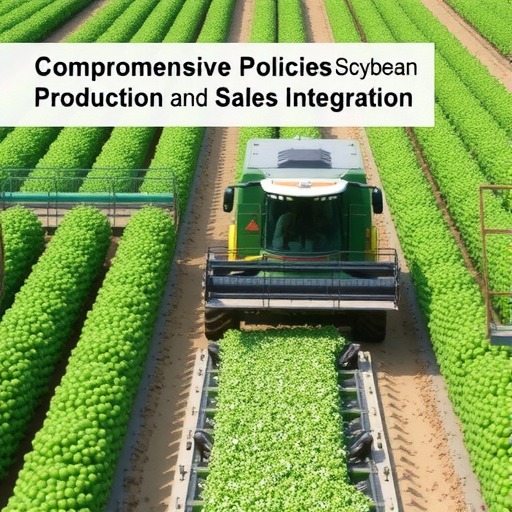 多举措保障大豆产量 提升农民收益 加强产业链建设