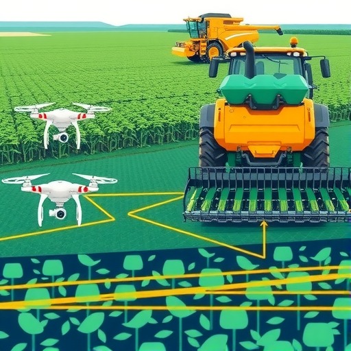 山东推进粮食单产提升行动 重点突破大豆玉米增产关键