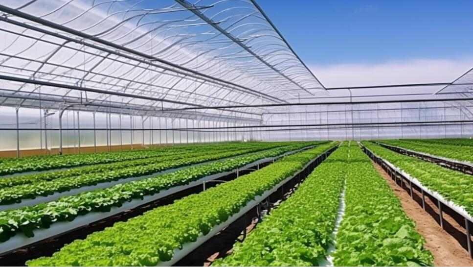 加快发展现代设施农业 支持产业转型与农民增收