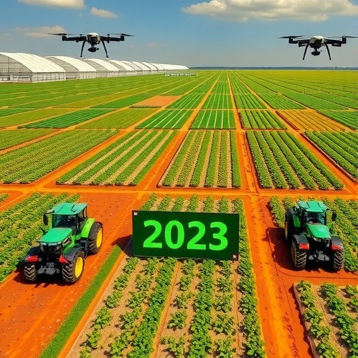 2023农业产量稳增 政策助力乡村振兴