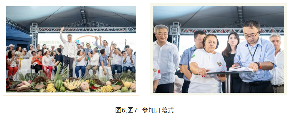中巴农业机械化示范农场启动 小农户技术合作全面推进