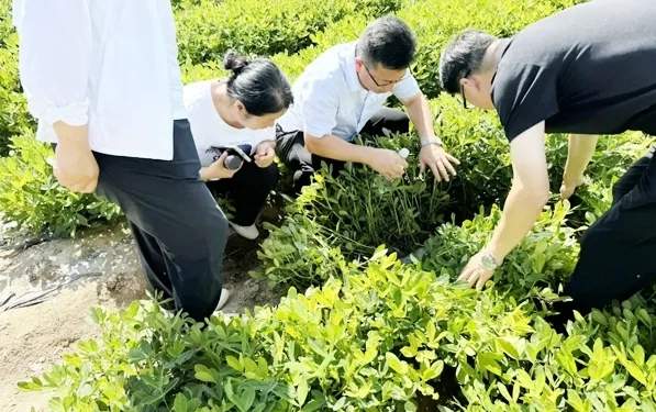 全生物降解地膜科技应用与环保产业前景探析