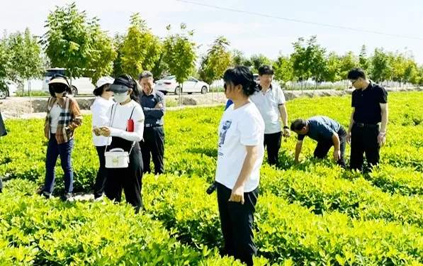全生物降解地膜科技应用与环保产业前景探析