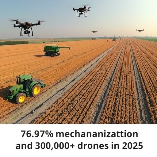 2025年中国农业现代化成果显著，科技助力乡村振兴