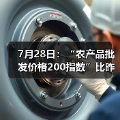 7月28日：“农产品批发价格200指数”比昨天上升0.27个点（图3）