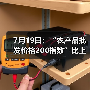 农产品价格指数波动分析 重点蔬菜水果肉类价格动态 7月19日:“农产品批发价格200指数”比上周五上升0.34个点(图4)