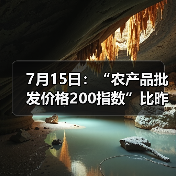 农产品价格波动:肉类蔬菜水果每日行情分析 7月15日:“农产品批发价格200指数”比昨天上升0.10个点(图4)