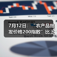 农产品价格指数微升 市场趋势分析 7月12日:“农产品批发价格200指数”比上周五上升0.14个点(图1)