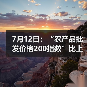 农产品价格指数微升 市场趋势分析 7月12日:“农产品批发价格200指数”比上周五上升0.14个点(图2)