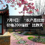 农产品价格动态:肉类蔬菜水果市场波动监测 7月9日:“农产品批发价格200指数”比昨天上升0.05个点(图2)