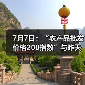 农产品价格指数稳定 肉类蔬菜水果市场行情分析 7月7日:“农产品批发价格200指数”与昨天持平(图4)