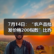 7月14日：“农产品批发价格200指数”比昨天上升0.51个点（图4）