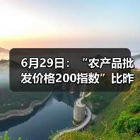 6月29日：“农产品批发价格200指数”比昨天上升0.14个点（图2）