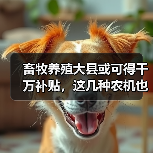 政策推动畜禽粪污资源化利用新机遇 畜牧养殖大县或可得千万补贴,这几种农机也被加入补贴目录!(图1)