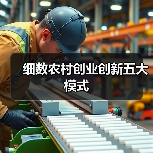 细数农村创业创新五大模式（图3）
