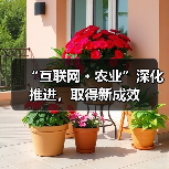 互联网+农业深化融合发展 推动农村电商与产业升级 “互联网﹢农业”深化推进,取得新成效(图1)