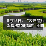 农产品价格波动分析 猪肉上涨蔬菜肉类降价 8月12日:“农产品批发价格200指数”比昨天下降0.07个点(图3)
