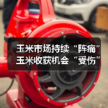 玉米市场持续“阵痛” 玉米收获机会“受伤”吗？（图2）