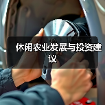 休闲农业发展与投资建议（图4）