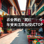 农业界的“网红”：今年受关注农业模式TOP5（图4）
