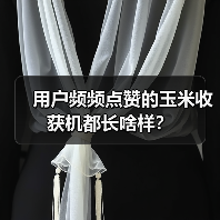 玉米机收效率提升,多款智能升级收获机推荐 用户频频点赞的玉米收获机都长啥样?(图1)