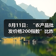 全国农产品价格最新变动 蔬菜肉类水产品涨跌分析 8月11日:“农产品批发价格200指数”比昨天下降0.25个点(图4)