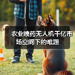 农业植保无人机千亿市场挑战严峻 农业喷药无人机千亿市场空间下的难题(图3)