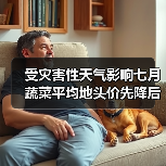 全国蔬菜地头价波动分析:供应与气候双重影响 受灾害性天气影响七月蔬菜平均地头价先降后升(图3)