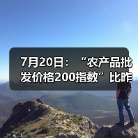 7月20日：“农产品批发价格200指数”比昨天上升0.33个点（图2）
