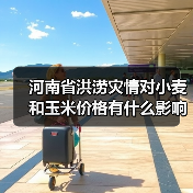 河南暴雨未撼动国内粮食市场稳定基调 河南省洪涝灾情对小麦和玉米价格有什么影响?(图1)