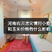 河南暴雨未撼动国内粮食市场稳定基调 河南省洪涝灾情对小麦和玉米价格有什么影响?(图2)