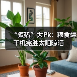 “炙热”大Pk：粮食烘干机完胜太阳晾晒（图2）