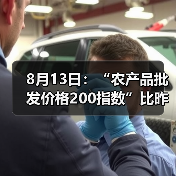 农产品价格波动分析:肉类与鱼类涨跌不一,蔬菜水果小幅上涨 8月13日:“农产品批发价格200指数”比昨天下降0.24个点(图3)