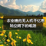 农业喷药无人机千亿市场空间下的难题（图2）
