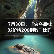 农产品价格指数上涨,重点品种价格波动显著 7月30日:“农产品批发价格200指数”比昨天上升0.24个点(图3)