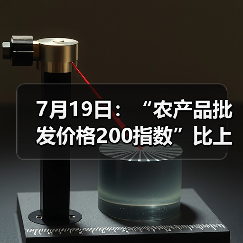 全国农产品价格波动:肉类略降 蔬菜水果涨跌互现 7月19日:“农产品批发价格200指数”比上周五上升0.34个点(图1)