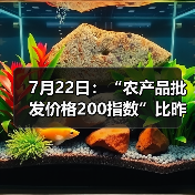 农产品价格波动:肉类蔬菜水果涨跌不一 7月22日:“农产品批发价格200指数”比昨天上升0.26个点(图3)