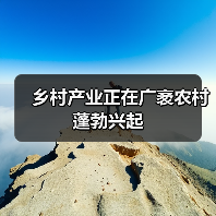 乡村产业正在广袤农村蓬勃兴起（图3）