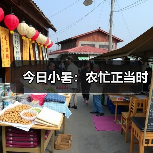 今日小暑：农忙正当时（图4）