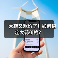 大蒜又涨价了！如何稳定大蒜价格？（图3）
