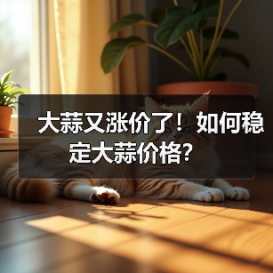 大蒜又涨价了！如何稳定大蒜价格？（图1）