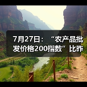 中国农产品价格指数微升,市场行情涨跌幅揭秘 7月27日:“农产品批发价格200指数”比昨天上升0.27个点(图2)