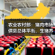 生猪价格持续下跌引发养殖亏损,政策引导稳定市场 农业农村部:猪肉市场供需总体平衡,生猪养殖高利润阶段已结束(图3)